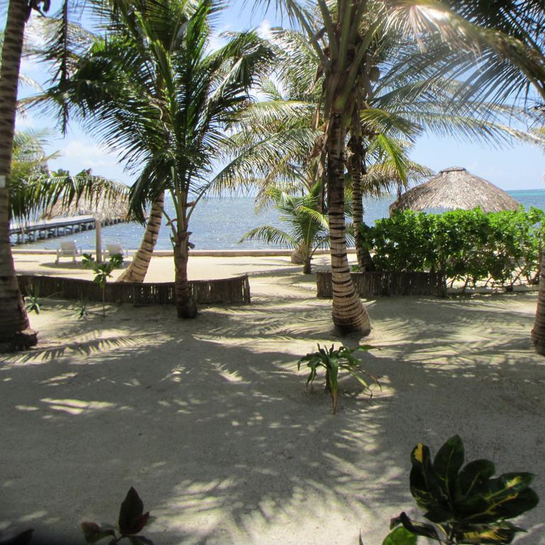 Cocotal Inn And Cabanas San Pedro  Extérieur photo